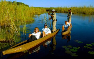 Croisière et safari en Afrique australe