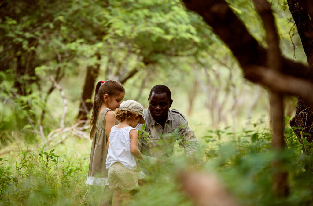 “L’Aventure des Petits Explorateurs : Safari Junior”
