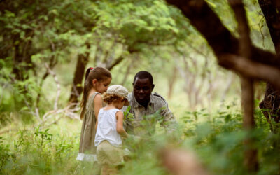 “L’Aventure des Petits Explorateurs : Safari Junior”