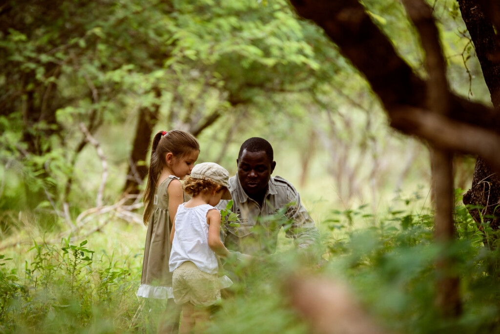 “L’Aventure des Petits Explorateurs : Safari Junior”