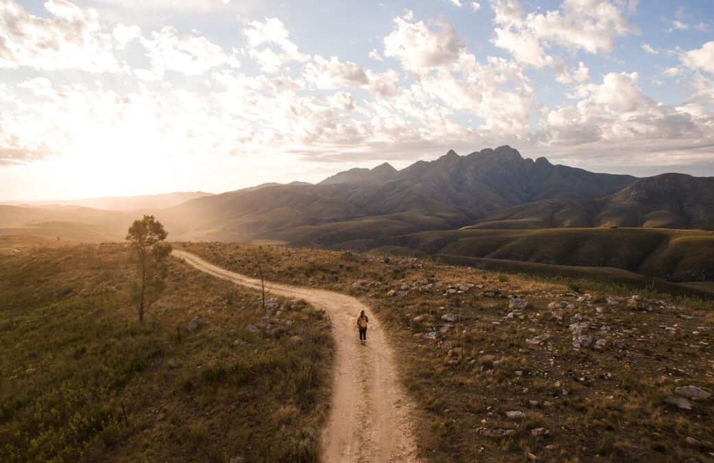 Road Trips en Afrique Australe