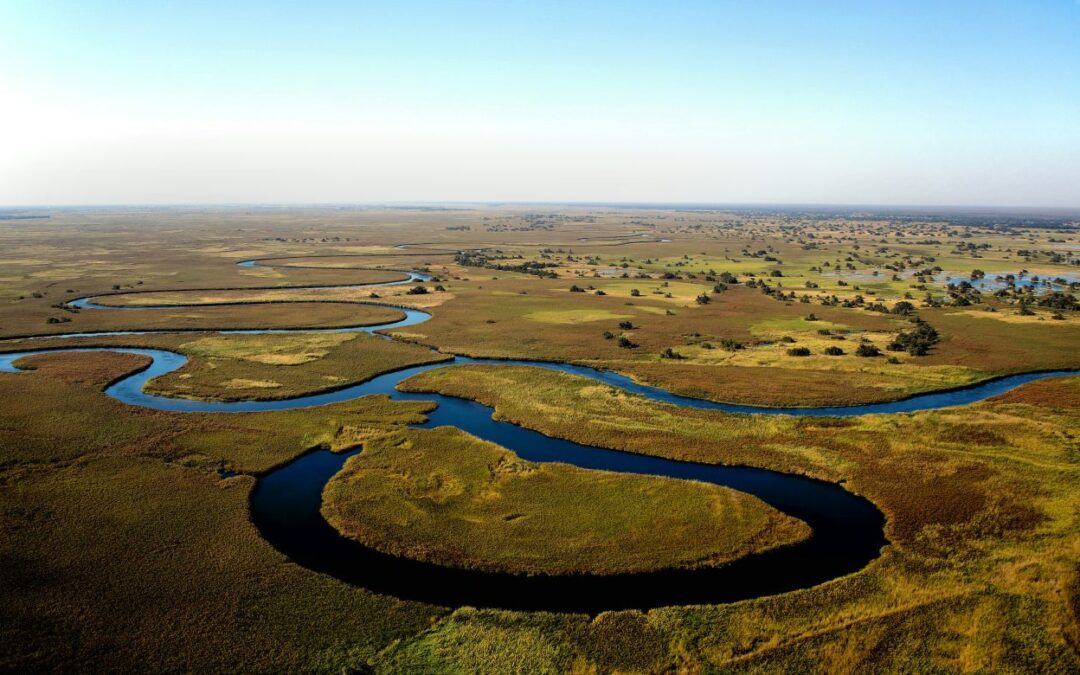 « Silence de la savane et vagues de l’océan : l’Afrique australe autrement »