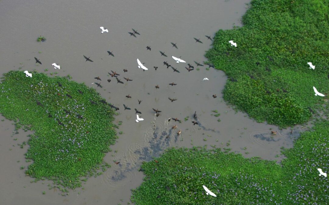 Articles sur l’écotourisme, le respect des communautés et de l’environnement