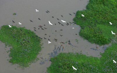 Articles sur l’écotourisme, le respect des communautés et de l’environnement