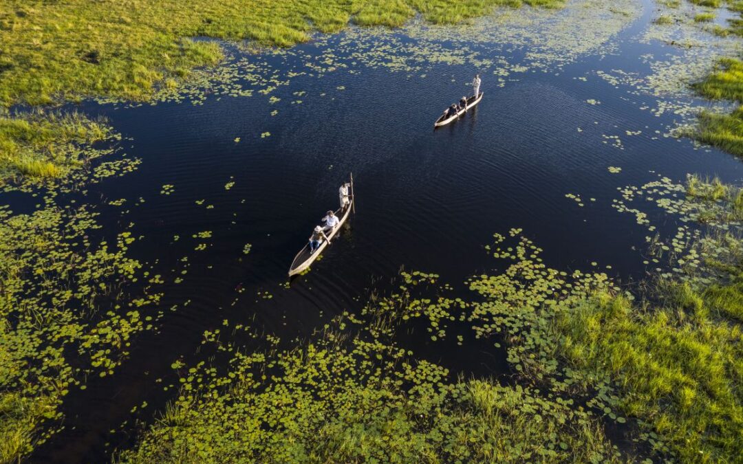 Conseils & Astuces de Voyage Quand partir au Botswana?